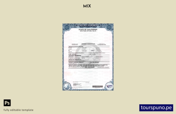 listo para imprimir la plantilla de páginas de la Enmienda del Registro de Nacim